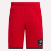 Basketshorts i mesh för herr