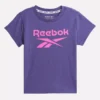 ID Big Logo Tee för barn