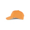 Logo Cap