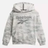 Reebok Identity Big Hoodie – små barn