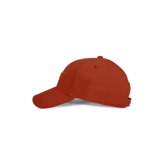 Vector Baseball Cap