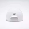 Vector Baseball Cap Vector Baseball Cap